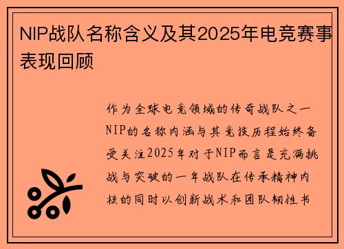 NIP战队名称含义及其2025年电竞赛事表现回顾